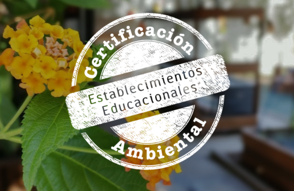 Toda una distinción para empezar a celebrar los 50 años