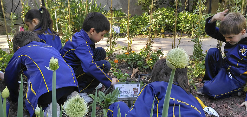 Taller de Educación Ambiental: una semilla para el futuro